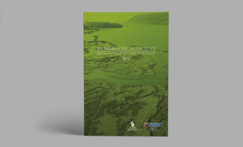 vista-1